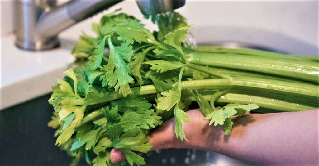 Apio en el Embarazo: Beneficios y Consejos 5 apio en el embarazo 1