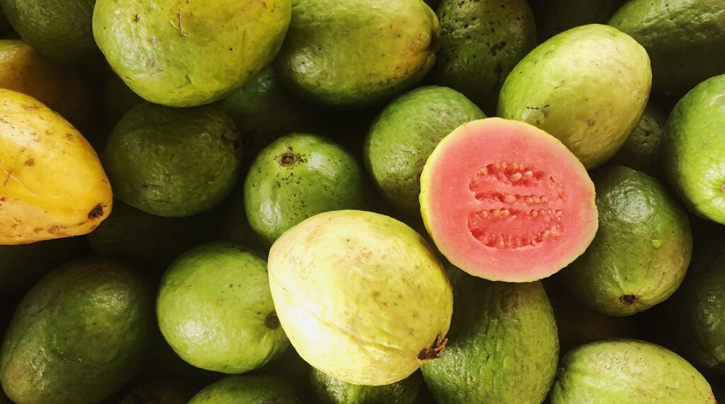 Guayaba en el Embarazo: 14 Beneficios y más 14 guayaba en el embarazo 6