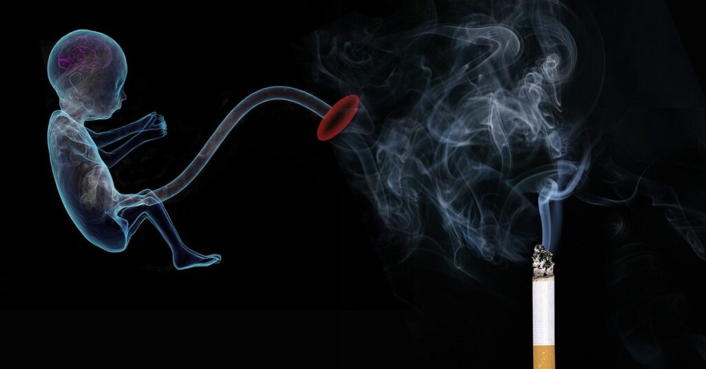 Embarazo y tabaquismo: mitos e incertidumbres 10 tabaco embarazo