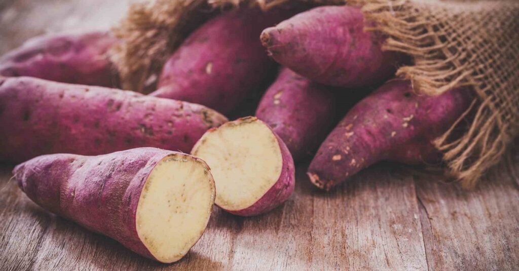 Camote en el Embarazo: Beneficios y Precauciones 3 boniato camote embarazo 1