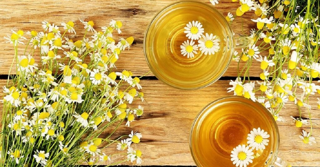 Manzanilla en el Embarazo: Beneficios y Precauciones 4 Infusion de Manzanilla portada