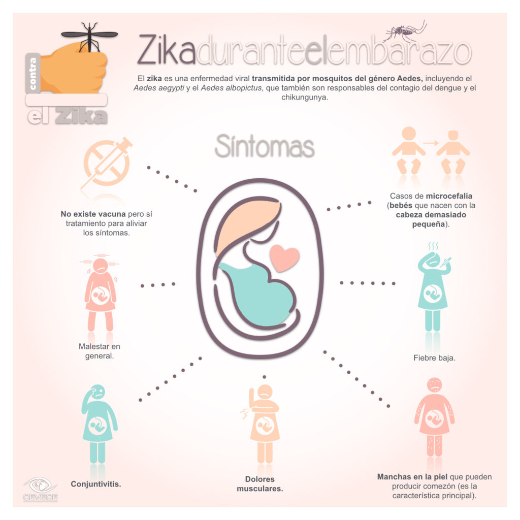 ZIKA en el Embarazo y su impacto en la Ginecobstetricia 1 image 1 2