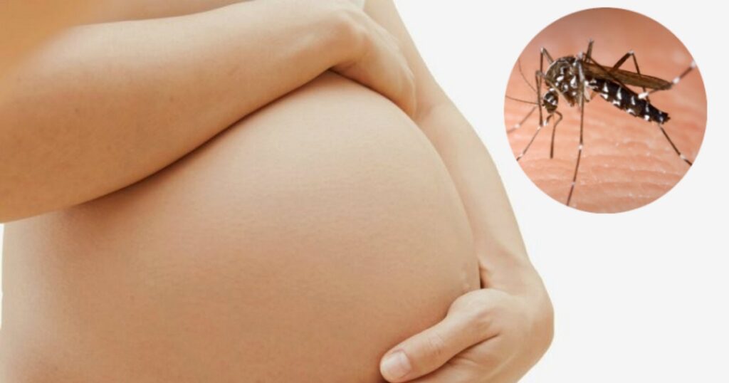 ZIKA en el Embarazo y su impacto en la Ginecobstetricia 1 zika virus embarazo